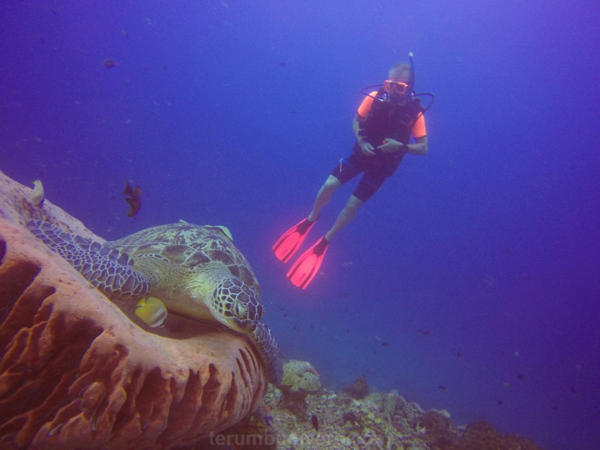 Anema Wellness & Gili Lombok - Diving Center Padi Resort Tanjung (Lombok)