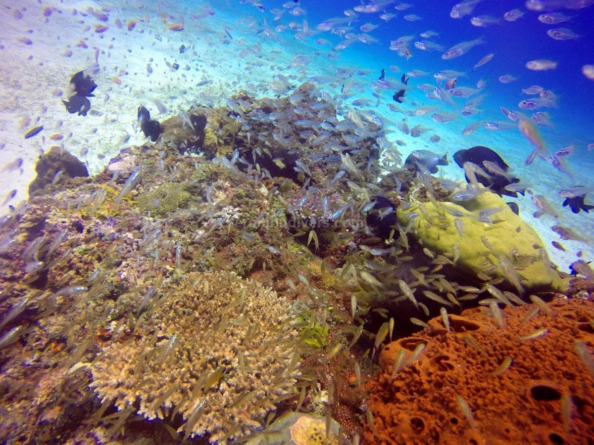 Anema Wellness & Gili Lombok - Diving Center Padi